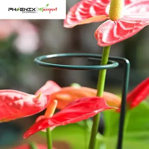 Single Stem Plant Support Garden Stake Steel Metal Flower Plant Support Peony Orchid Lily Rose Support