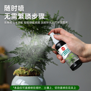 Solution nutritive pour fougères et asperges Cpai 100 ml prête à pulvériser pour plantes d'intérieur - Product Image 3