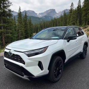 Offre Spéciale Rav 4 Hia-ce LX Nouvelle Version SUV Électrique Moteur Turbo 4L Automatique Traction Avant Sièges en Cuir Grand Espace Loisirs Gauche Foncé - Product Image 3