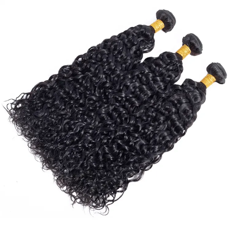 Hot sale Water Wave Curly Virgin Hair 3 Bundles with closure Human Hair Weft Extensions