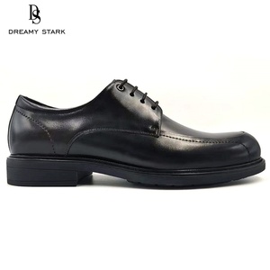 Chaussures habillées pour hommes Dreamy Stark, élégantes, tendance, décontractées, à lacets, pour les trajets quotidiens, semelles épaisses, résistantes à l'usure - Product Image 2