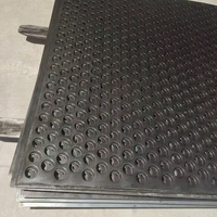 Filtre à tamis métallique perforé en acier inoxydable industriel, tamis vibrant, maille métallique