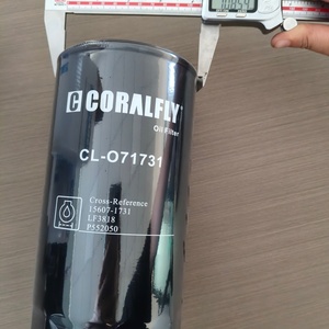 Engine Oil Filter 156071731 15607-1731 156071733 15607-1733 15607-1732 15607-1600 for HINO Truck - Product Image 3