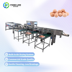 High Pressure Egg Cleaner No <strong>Damage</strong> Egg <strong>Washing</strong> <strong>Machine</strong> - Product Image 4