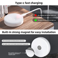 Veilleuse LED à commande tactile avec télécommande, magnétique, pour voiture et chevet de chambre, en PC, batterie intégrée, blanc chaud/froid