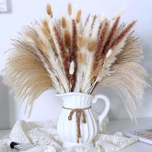 Ensemble de fleurs séchées naturelles (herbe de lapin et herbe de la pampa) avec livraison rapide et rapport d'inspection des plantes disponible. - Product Image 6