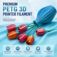 Filament PLA Soie Bicolore pour Imprimante 3D Industrielle – Haute Brillance, Fini Naturel Lisse, Dégradé Esthétique pour Pièces et Articles Décoratifs