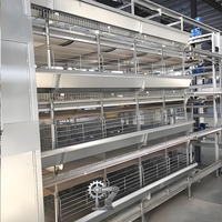 2026 Yeni H Tipi Otomatik Sıcak Daldırma Galvanizli Çelik HENGQI HqH4 Yumurta Toplama Makinesi Çift Motorlu Düşük Kırılma Oranlı Kümes Hayvanları İçin