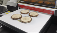Máquina de Impresión de Camisetas, Impresora de Camisetas con Certificación de Calidad Funsun A3 Dtg 1440Dpi