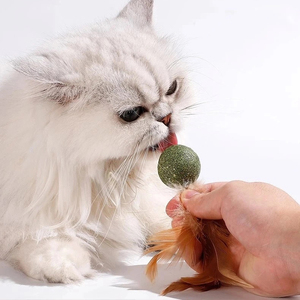Rarewe Fournitures pour animaux de compagnie : Jouet balle à herbe à chat et plumes, Jouet anti-ennui pour chat, Jouet à mâcher autonettoyant pour chat - Prix usine - Product Image 3
