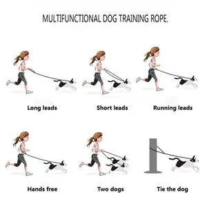 Collier pour <span class=keywords><strong>chien</strong></span> en PVC Doe Pet, rubans solides, laisse pour animaux de compagnie, design tendance, impression par transfert thermique, collier pour <span class=keywords><strong>chien</strong></span> personnalisé, imperméable - Product Image 3