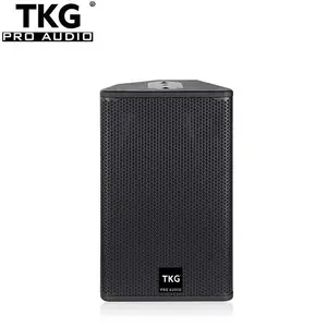 Tkg 350W 10 Inch Ps10 Performance Geluidssysteem Podium Karaoke Ktv Professionele Audio Dj Speaker 10 Inch