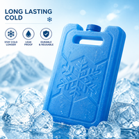 Panneau de gel réutilisable ultra-mince pour congélateur, gel réfrigérant rapide, sans BPA, pour boîte à lunch d'enfants, école, pique-nique