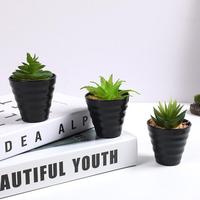 Plantes décoratives artificielles pour mur et plafond, design moderne et écologique, pour décorations de Noël et de maison, et pour la photographie