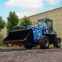 Mini Caricatore Approvato CE da 5000kg, Nuovo Mini Caricatore 4WD per Uso Agricolo, Caricatore Frontale in Vendita