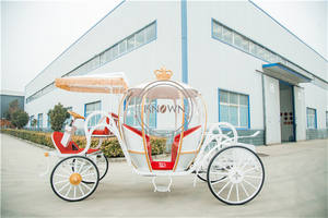 Chariot de princesse <span class=keywords><strong>cendrillon</strong></span> blanc OEM, calèche à cheval utilisé pour mariage, citrouille royale, chariot de tourisme - Product Image 2