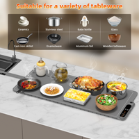 Tapis chauffant portable en silicone pour aliments, tapis chauffant en silicone pliable, plateau chauffant électrique, plaques chauffantes
