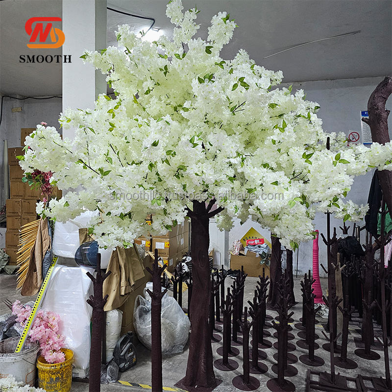 ต้นเชอร์รี่