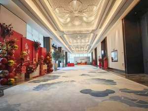 Alfombra de Pared a Pared de Moqueta para Decoración de Hoteles de Lujo Taiyi, Tejida en Nailon, con Estampado Digital, para <span class=keywords><strong>Casino</strong></span>, Teatro - Product Image 6