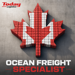 Logistique maritime express efficace Chine-Canada FBA – Inspection de fret maritime, remplacement de cartons, support d'identification des étiquettes - Product Image 1