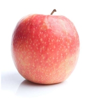 IQF Diepvries Fuji Appelballetjes Rode Schil Natuurlijk Zoet Kosher Gecertificeerd Groothandel voor Voedselverwerking