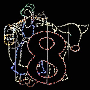 Tùy Chỉnh LED Dây Khung Hình 12 Ngày Giáng Sinh Ánh Sáng Motif Ngoài Trời Motif Đèn Số Cho Hạnh Phúc Năm Mới Trang Trí - Product Image 5