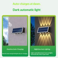 Lampe murale extérieure solaire SMD2835 à faible consommation d'énergie pour portes, cours, villas, jardins, indice de protection IP65, contrôle de la lumière