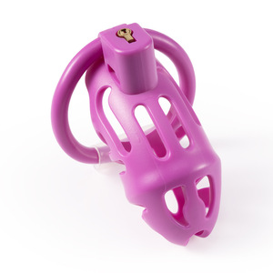 Candado de castidad para hombre, jaula oculta para pene, anillo de ejercicio para pene, candado de castidad, productos sexuales para adultos al por mayor - Product Image 1