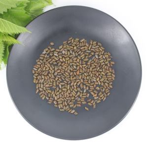 Prezzo all'ingrosso della fabbrica di alta qualità all'ingrosso all'ingrosso cinese erbe tradizionali di <span class=keywords><strong>Cassia</strong></span> Tora semi - Product Image 2