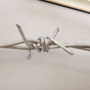 Bobine de fil de fer barbelé polarisé pour rasoir, à bas prix, en argent <span class=keywords><strong>blanc</strong></span> ou PVC, Protection de la couleur, 1 pièce - Product Image 5