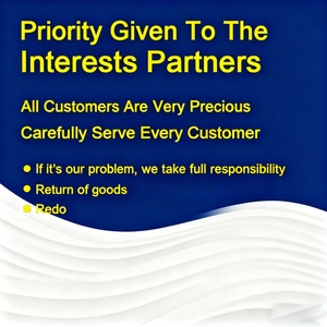 Conjunto de Sudadera con Capucha y Pantalones de Chándal de Felpa Francesa de Algodón de 500 Gramos Personalizado para Hombre, Chándal Informal, Sudadera con Capucha Esencial - Product Image 5