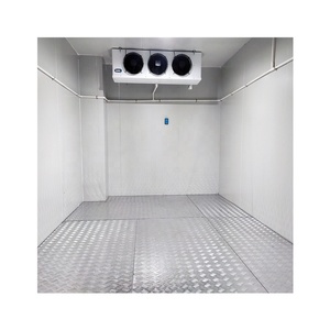 食肉加工用予冷冷蔵庫 冷凍庫 ディグ冷凍庫 - Product Image 1