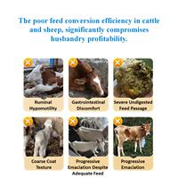 CP Group Additifs alimentaires RumenCare pour bovins moutons améliore le gain de poids quotidien Réduction des risques Acidose du rumen Vitamines de qualité alimentaire