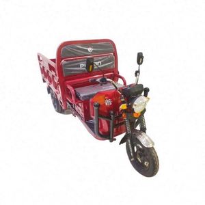 Triciclo Furgoneta Fácil de Conducir de 45AH en Venta - Product Image 1