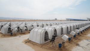 송아지 사육용 플라스틱 실내 우리, 100% 버진 폴리에틸렌 송아지 펜 - Product Image 2