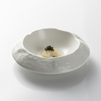 Esanjoy Assiette en porcelaine blanche mate populaire Bols Plaque De Porcelaine Nourriture occidentale Assiettes à vaisselle irrégulières en céramique à pli unique