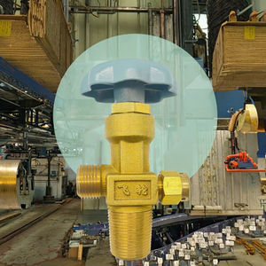 Válvula de Compuerta Manual CGA540 para Oxígeno/Argón/CO2/Hidrógeno/Helio, OEM Disponible en HPB59-1 - Product Image 3