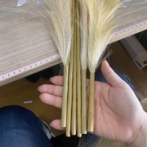 Hesper - Oferta Especial: Arreglo Artificial de Hierba de <span class=keywords><strong>Pampas</strong></span> Realista en Dos Partes con Tallos Desmontables, Decoración Moderna para el Día de la Madre - Product Image 4