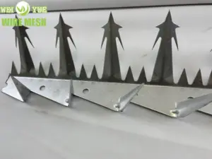 Spot Goods Stainless Steel/galvanized Wall Spikes Spike Razor Anti Climb Spikes