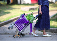 Chariot de courses portable en acier/aluminium avec sac de transport et élastique, pour monter les escaliers - Personnalisable OEM