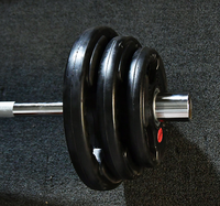 Disques de musculation en caoutchouc à trois trous pour usage commercial et compétition – Logo personnalisé, écologiques et durables