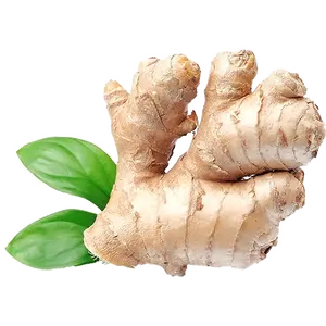 Best Selling 2024 Bulk Pakistani Fresh Ginger Wholesale Exporting Standard Yellow Ginger With Best Price