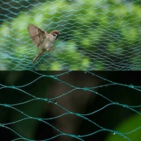 HDPE geëxtrudeerd vogelnet, UV-gestabiliseerd, vierkant gaas, anti-vogelnet voor boomgaard, fruitboom en gewasbescherming