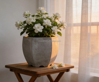 Pot de fleurs hexagonal moderne en ciment, résistant aux intempéries, pour jasmin