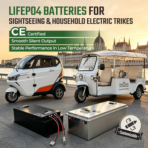 Batería de Triciclo de Alta Calidad de 72V 110AH LiFePO4, Paquete de Iones de Litio para Triciclos - Product Image 2