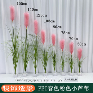 Césped Artificial de <span class=keywords><strong>PVC</strong></span> y PET para Paisajismo Exterior, Flor de Pampa, Flor de Ranúnculo, Resistente a los Rayos UV - Product Image 5