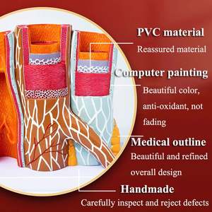 <span class=keywords><strong>Model</strong></span> anatomi arteriovenosa KyrenMed <span class=keywords><strong>Model</strong></span> struktur pembuluh darah diperbesar dalam struktur arteri manusia dan <span class=keywords><strong>Model</strong></span> pembuluh darah - Product Image 6