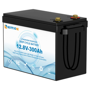 EU在庫 12.8V 175Ah 300Ah LiFePO4バッテリーパック リチウムイオンバッテリー 内蔵BMS充電式バッテリー 12v 300Ah 充電器付き - Product Image 1