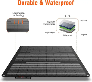 ETFE Lamination Mono Solar Panels for Sale <strong>10</strong>-60W 5V 6v 12V Custom Foldable USB DC Solar Panel Charger for Power Bank Station - Product Image 2