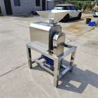 Industriële grootschalige fruit- en groentepulp- en pureermachine van roestvrij staal, horizontaal, 220V, capaciteit 20kg/u